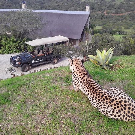 Hopewell Private Game Reserve Buyskloof Екстериор снимка